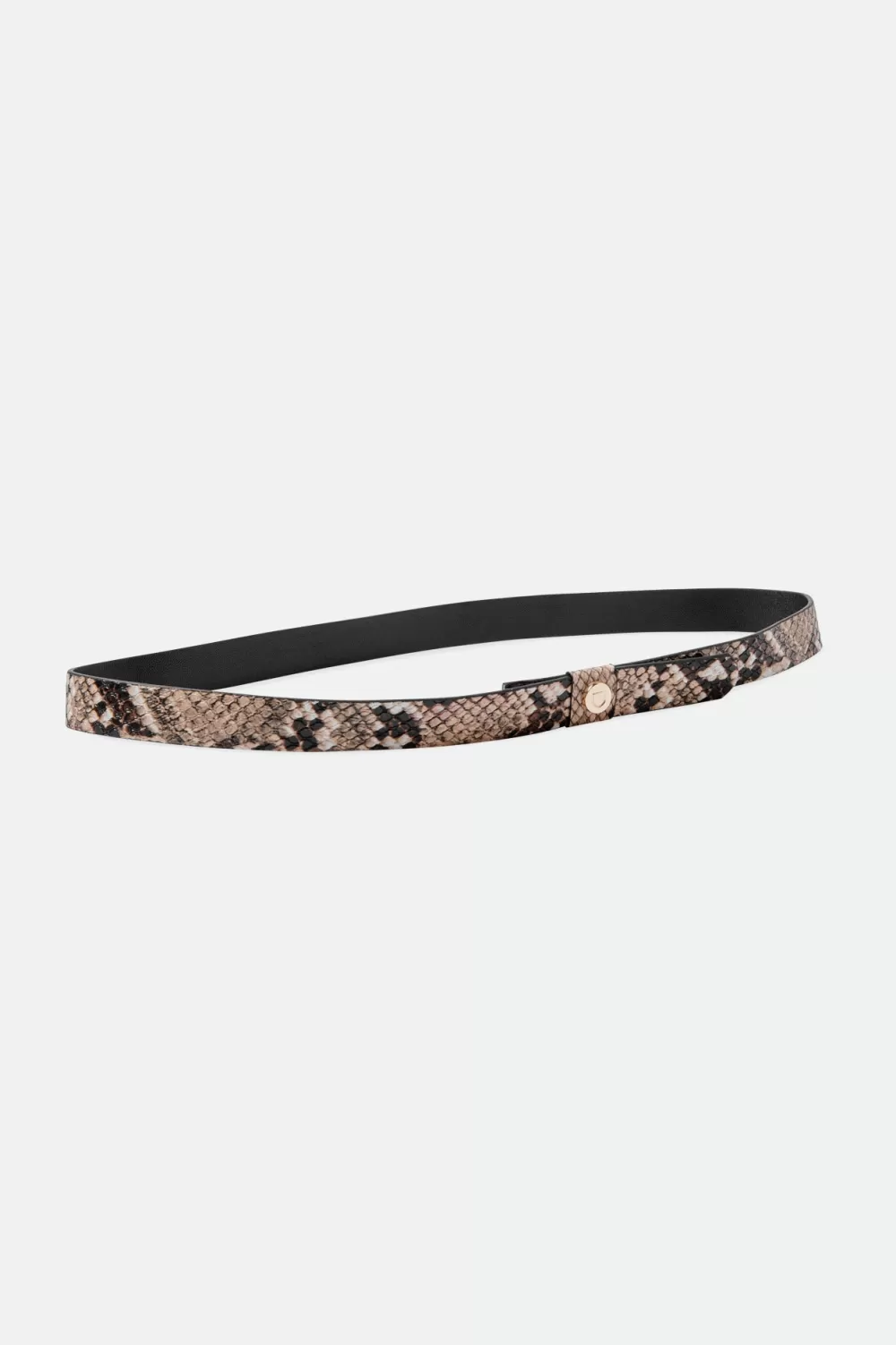 Brixton Snake Skin Adjustable Hat Band^Women Hat Accessories | Hat Accessories